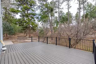 18935 Birchwood Way, Monument, CO 80132 - Photo 30