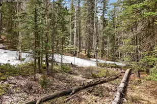 464 E Bison Creek Trail, Florissant, CO 80816 - Photo 1