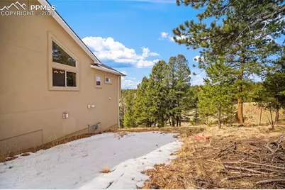 367 Cottonwood Lake Drive, Divide, CO 80814 - Photo 10