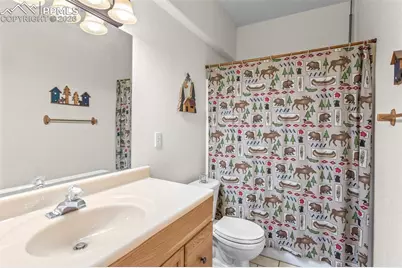 162 Ridge Top Drive, Divide, CO 80814 - Photo 28