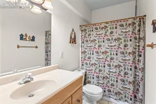 162 Ridge Top Dr, Divide, CO 80814 - Photo 28