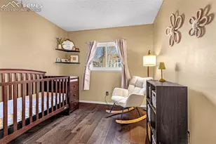 2625 Manassas Way, Colorado Springs, CO 80922 - Photo 18