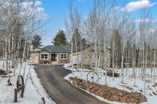 1100 S Park St, Woodland Park, CO 80863 - Photo 2