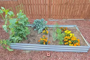 12742 Winding Glen Ln, Peyton, CO 80831 - Photo 34