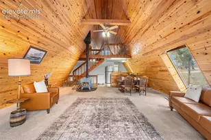 873 Trail Creek Rd, Lake George, CO 80827 - Photo 10