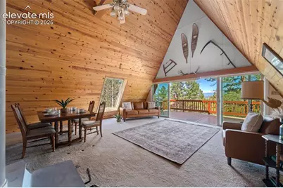 873 Trail Creek Road, Lake George, CO 80827 - Photo 6