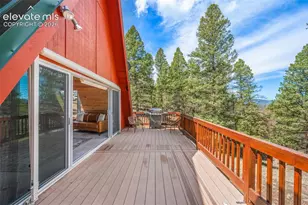 873 Trail Creek Rd, Lake George, CO 80827 - Photo 22
