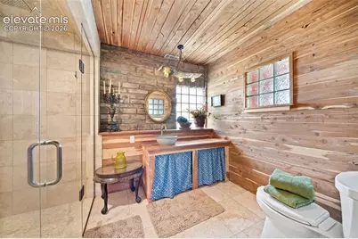 351 High Pasture Road, Florissant, CO 80816 - Photo 20