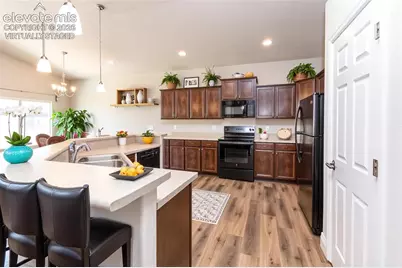 7489 Alpine Daisy Drive, Colorado Springs, CO 80925 - Photo 12