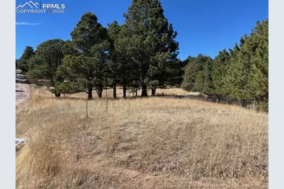 3560 Range View Road, Monument, CO 80132 - Photo 2