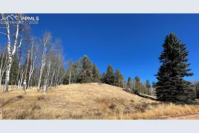 3090 N Mountain Estates Road, Florissant, CO 80816 - Photo 2