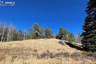 3090 N Mountain Estates Rd, Florissant, CO 80816 - Photo 1