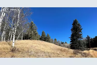 3090 N Mountain Estates Road, Florissant, CO 80816 - Photo 4