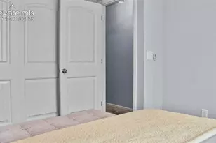 7649 Grand Fir Point, Colorado Springs, CO 80908 - Photo 16
