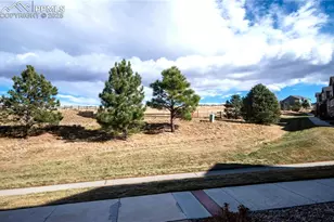 1316 Walters Point, Monument, CO 80132 - Photo 30