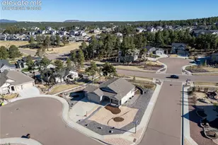 928 Graywoods Ter, Monument, CO 80132 - Photo 8