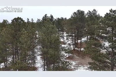 210 Rhyolite Lane, Florissant, CO 80816 - Photo 6