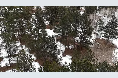 210 Rhyolite Lane, Florissant, CO 80816 - Photo 2