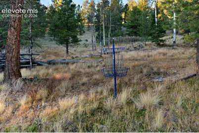 516 Saguache Drive, Florissant, CO 80816 - Photo 40