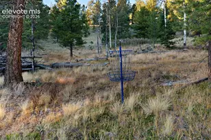 516 Saguache Dr, Florissant, CO 80816 - Photo 40