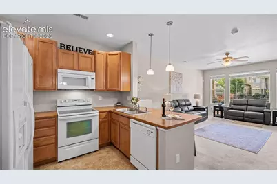 6586 Baytree Grove, Colorado Springs, CO 80923 - Photo 8