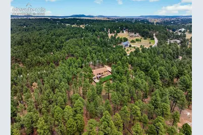 155 Pontiac Loop, Monument, CO 80132 - Photo 46