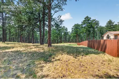155 Pontiac Loop, Monument, CO 80132 - Photo 44
