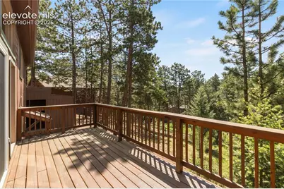 1257 W Midland Avenue, Woodland Park, CO 80863 - Photo 36