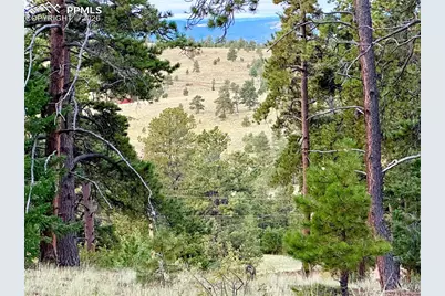 908 Penrose Circle, Cripple Creek, CO 80813 - Photo 6