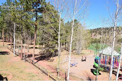 806 Misty Pines Circle, Woodland Park, CO 80863 - Photo 22