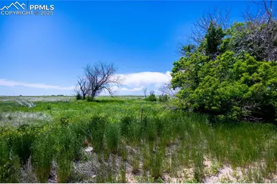 23655 E Garrett Road, Calhan, CO 80808 - Photo 8