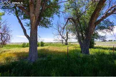 23655 E Garrett Road, Calhan, CO 80808 - Photo 4