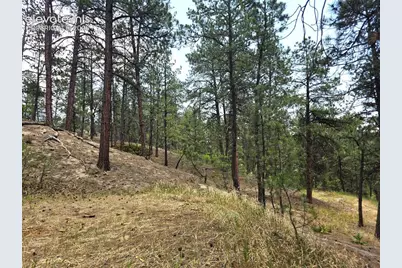 4465 Leprechaun Lane, Colorado Springs, CO 80908 - Photo 40