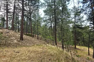 4465 Leprechaun Ln, Colorado Springs, CO 80908 - Photo 40