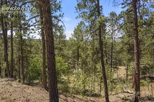 4465 Leprechaun Ln, Colorado Springs, CO 80908 - Photo 8