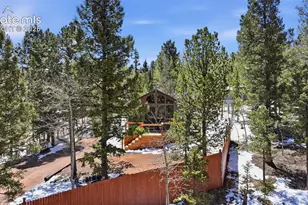 747 Trout Haven Rd, Florissant, CO 80816 - Photo 22