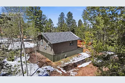 747 Trout Haven Road, Florissant, CO 80816 - Photo 8