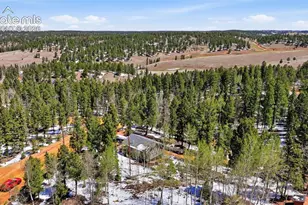 747 Trout Haven Rd, Florissant, CO 80816 - Photo 14