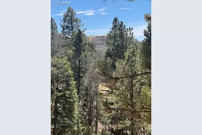 288 Troy Drive, Cripple Creek, CO 80813 - Photo 4