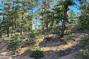 19 Ranch Rd, Sedalia, CO 80135 - Photo 1