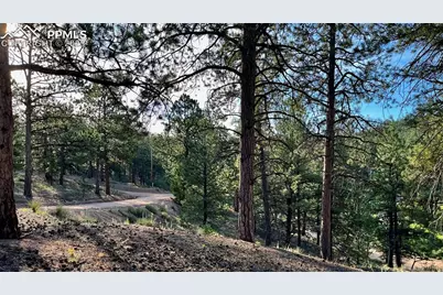 19 Ranch Road, Sedalia, CO 80135 - Photo 4