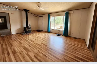 400 Pikes Peak Lane, Florissant, CO 80816 - Photo 6