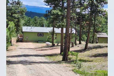 400 Pikes Peak Lane, Florissant, CO 80816 - Photo 4