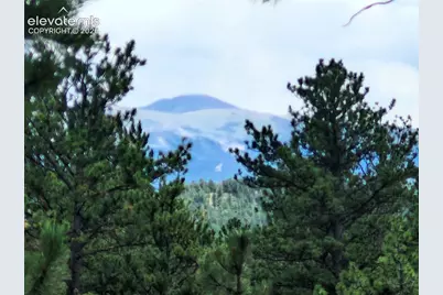 400 Pikes Peak Lane, Florissant, CO 80816 - Photo 22