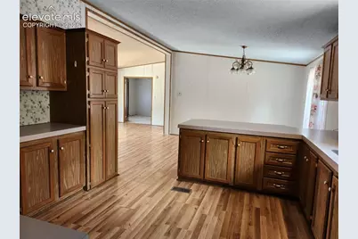 400 Pikes Peak Lane, Florissant, CO 80816 - Photo 12
