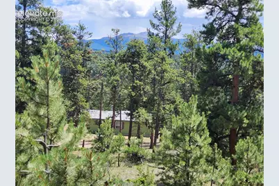 400 Pikes Peak Lane, Florissant, CO 80816 - Photo 2