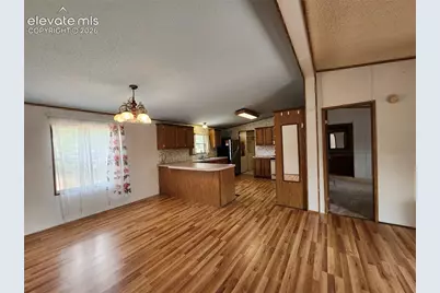 400 Pikes Peak Lane, Florissant, CO 80816 - Photo 8