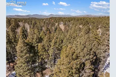 358 Pawutsy Road, Florissant, CO 80816 - Photo 8