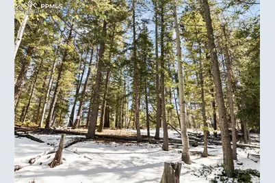 358 Pawutsy Road, Florissant, CO 80816 - Photo 14