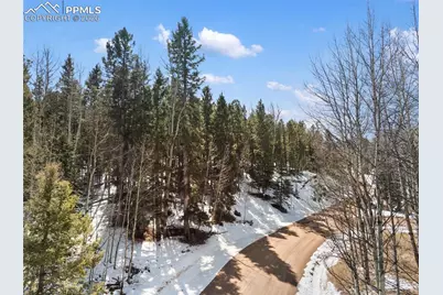 358 Pawutsy Road, Florissant, CO 80816 - Photo 4